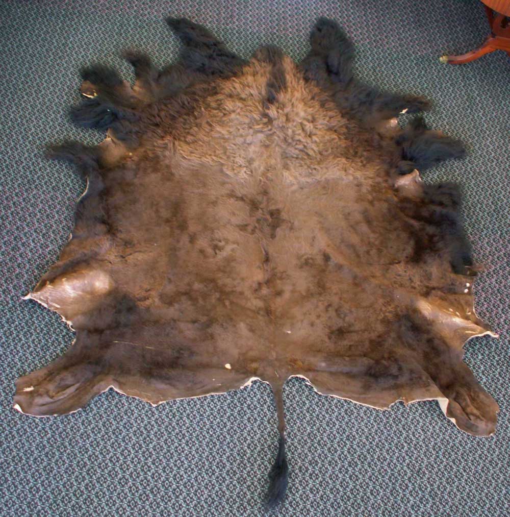 New American Buffalo Bison Pelt Hide Rug Bedspread Over 6ft X 4ft ...